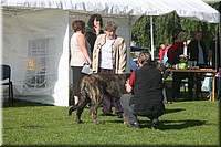 Z100613-018.jpg