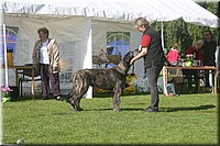 Z100613-019.jpg