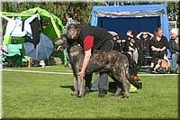 Z100613-021.jpg