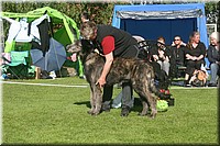 Z100613-022.jpg