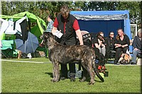 Z100613-023.jpg