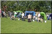 Z100613-027.jpg