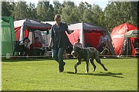 Z100613-029.jpg