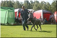 Z100613-030.jpg