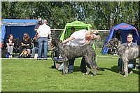 Z100613-040.jpg