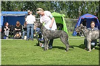 Z100613-041.jpg