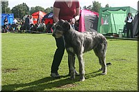Z100613-043.jpg