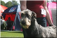 Z100613-045.jpg