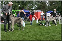 Z100613-056.jpg