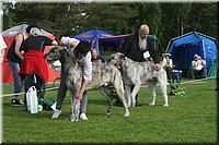 Z100613-057.jpg