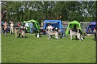 Z100613-058.jpg