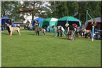 Z100613-060.jpg