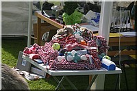Z100613-064.jpg