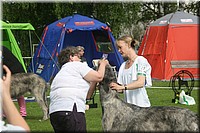 Z100613-071.jpg
