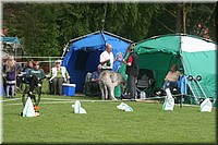 Z100613-072.jpg