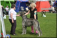 Z100613-073.jpg