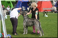 Z100613-074.jpg