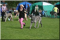 Z100613-076.jpg