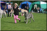 Z100613-077.jpg