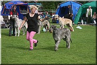Z100613-078.jpg