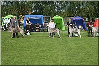 Z100613-079.jpg