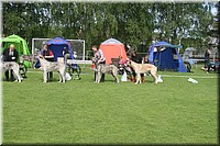 Z100613-080.jpg