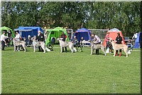 Z100613-081.jpg