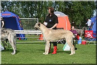 Z100613-084.jpg