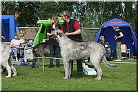Z100613-086.jpg