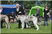 Z100613-087.jpg