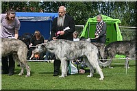 Z100613-088.jpg