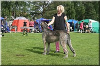 Z100613-093.jpg