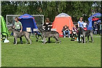 Z100613-101.jpg