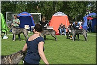 Z100613-102.jpg