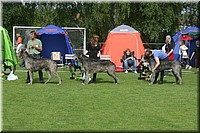 Z100613-103.jpg