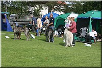 Z100613-104.jpg