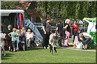 Z100613-105.jpg