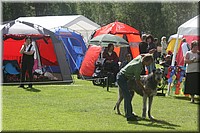 Z100613-113.jpg
