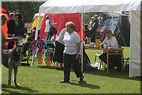 Z100613-114.jpg