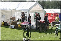 Z100613-115.jpg