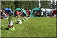 Z100613-119.jpg