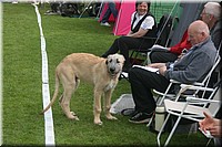 Z100613-122.jpg
