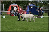 Z100613-124.jpg