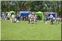 Z100613-126.jpg