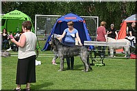 Z100613-127.jpg