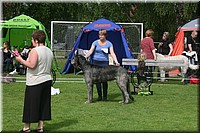 Z100613-128.jpg