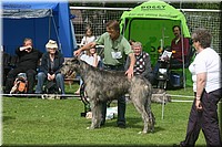 Z100613-129.jpg