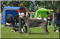Z100613-135.jpg