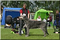 Z100613-137.jpg