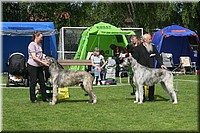 Z100613-139.jpg